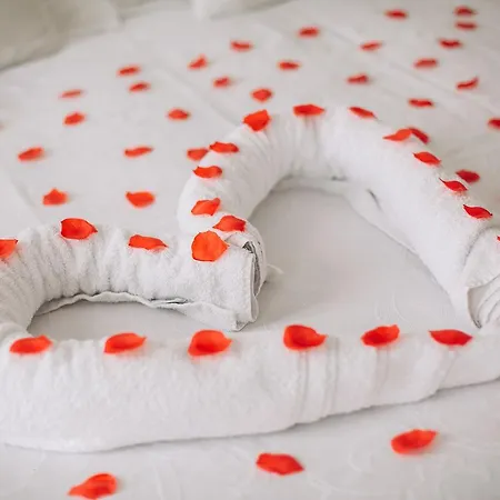 舒适型住房度假屋 招待所